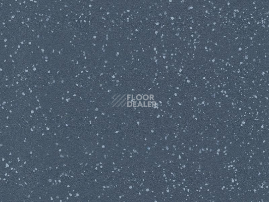 Линолеум Polyflor Polysafe Verona Pur 5207 Nightfall фото 1 | FLOORDEALER